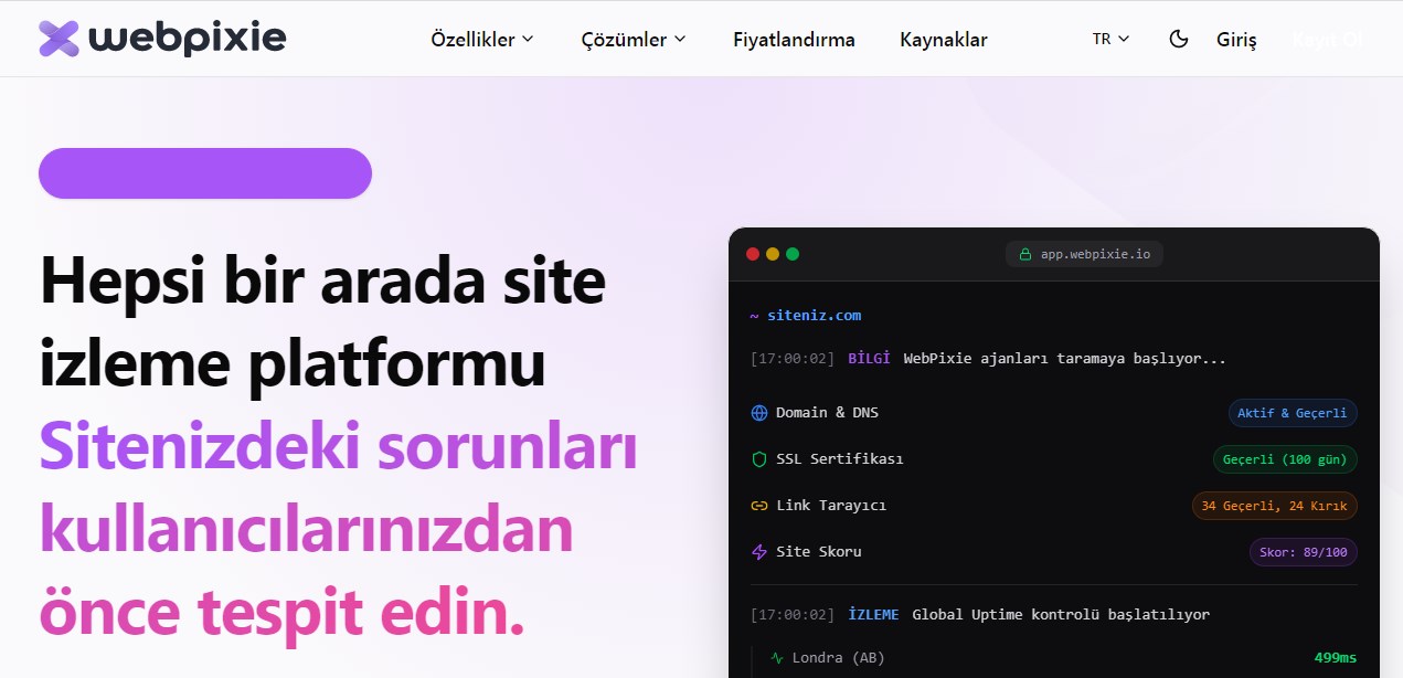 Alan Adı Sorgulama